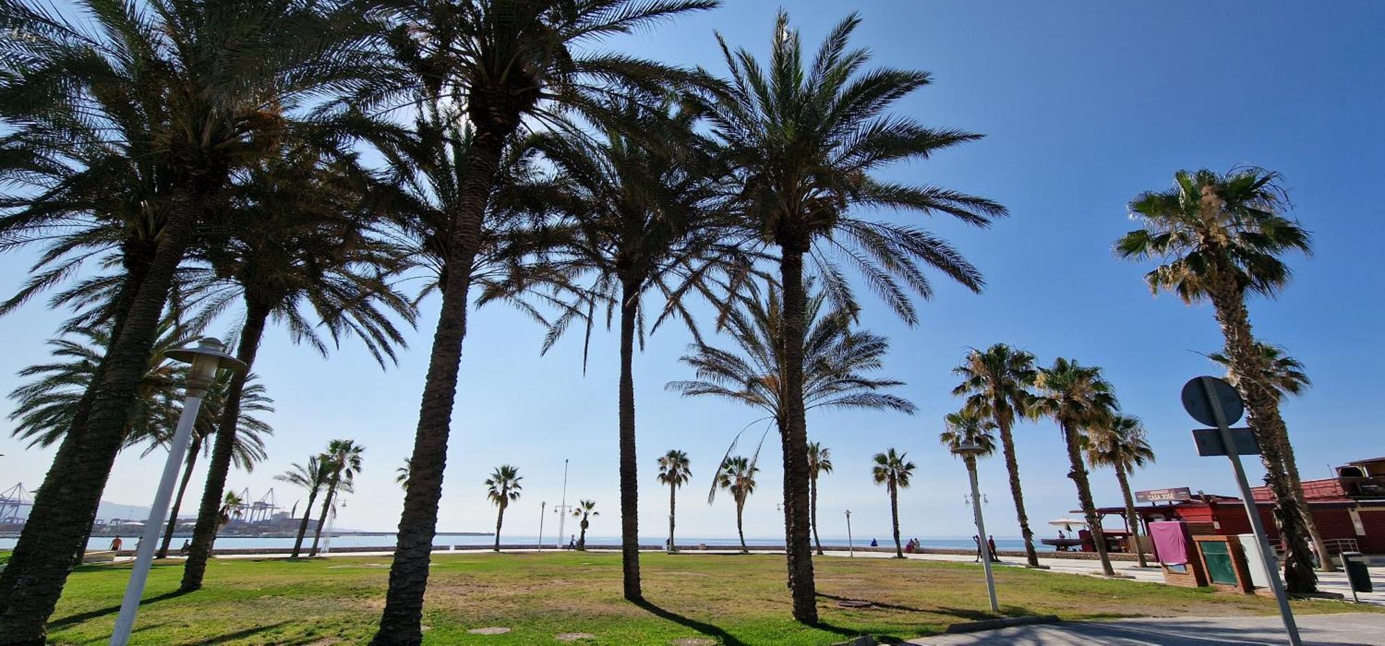 Paloma Beach Málaga Eksteriør billede